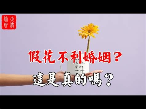 家裡不能放假花